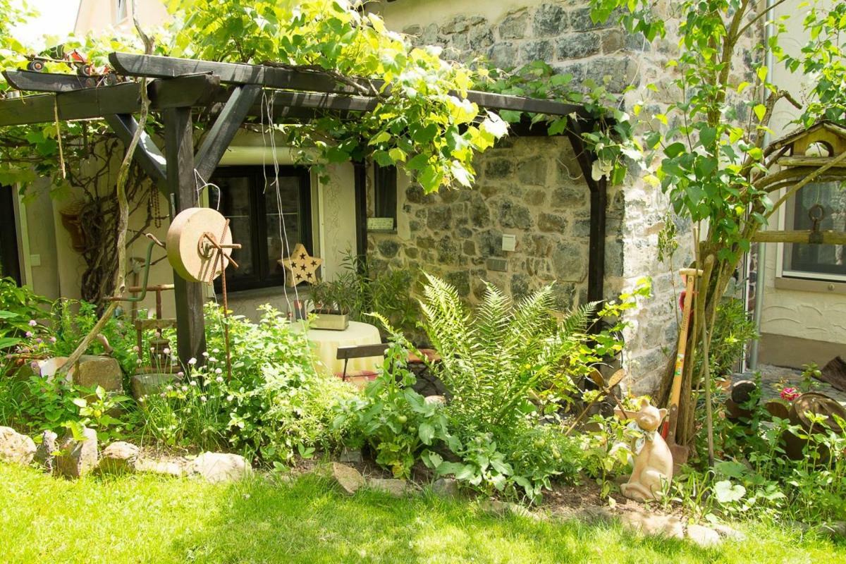 Auszeit Flair Der Provence Appartement Hausen  Buitenkant foto